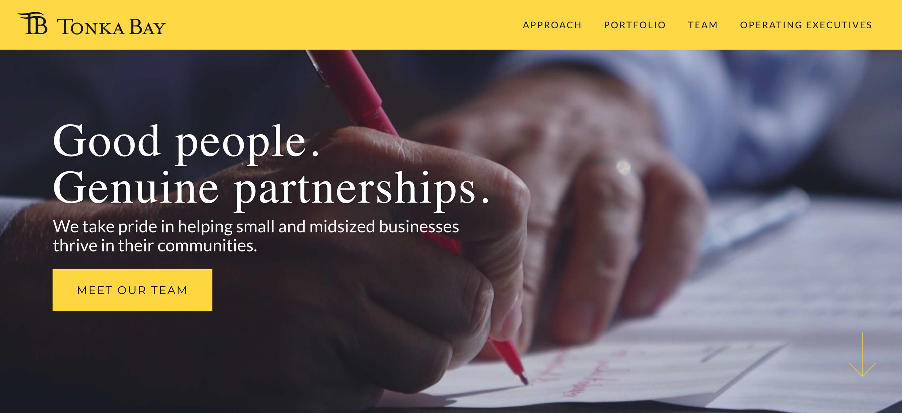 Screenshot of Tonka Bay Equity's website